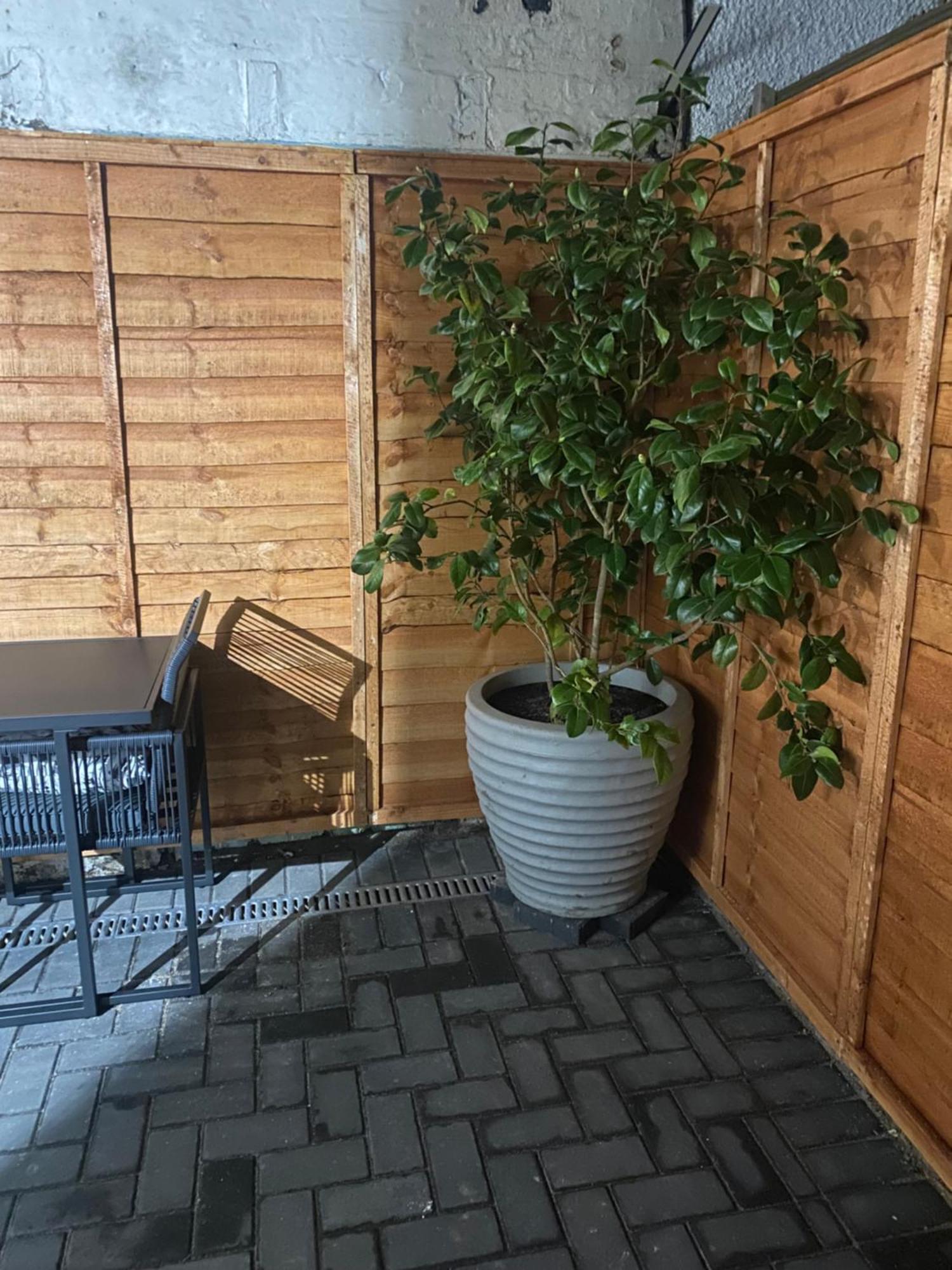 The Terrace Apartamento Saint Monance Exterior foto